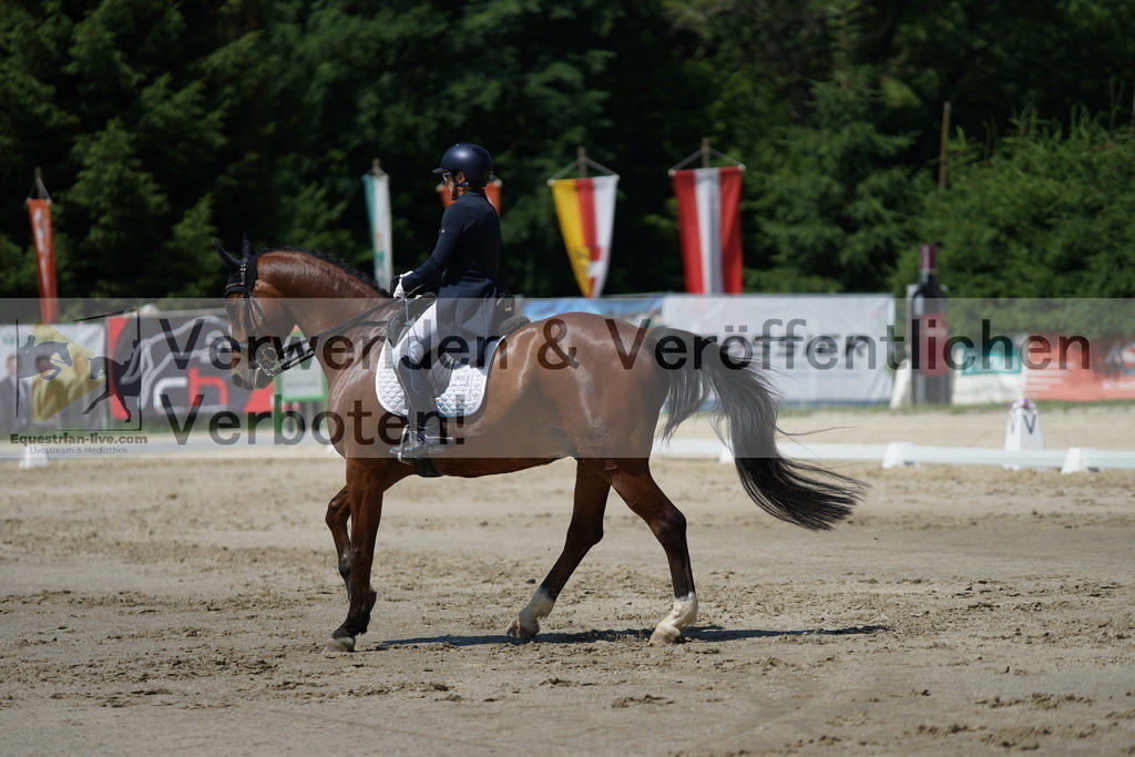 DSC03206 | equestrian-live-com