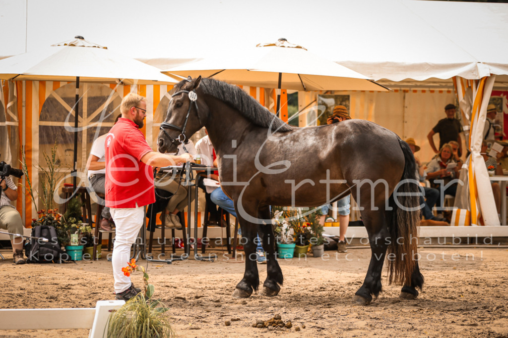 4.Sa00045 | Leoni Ertmer Photography - Realisiert mit Pictrs.com