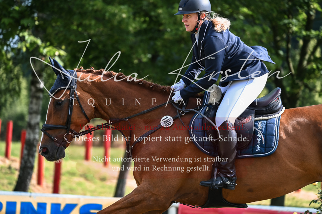 DSC_7758 | Pferde- und Turnierfotografie in Westsachsen. Pferdeportraits, Auftragszeichnungen und intuitive Kunst.
