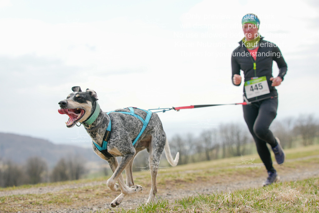 CaniXRunSA-224 | stephaniefillaphotographie - Realisiert mit Pictrs.com