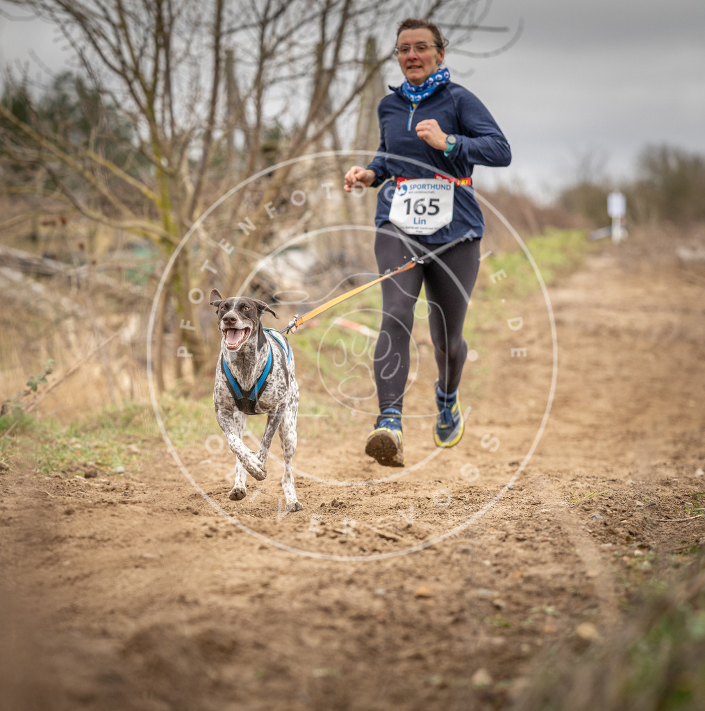 DV3A1870 | Hundefotografie, Tierfotograf, Pfotenfotografie, Fotoshooting Hund, Hunde Portrait, Hundesport, Hundeportraits, Heideshooting, Hunde, Sportfotograf, Hundefotograf, Turnierhundsport, THS,  - Realisiert mit Pictrs.com