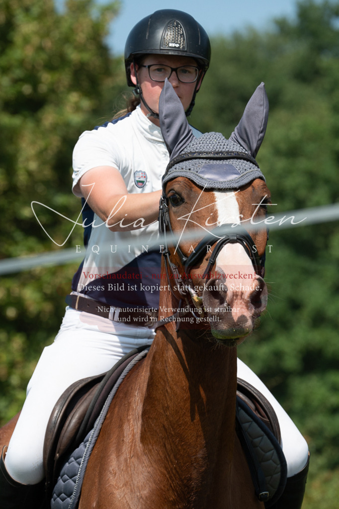 DSC_0834 | Pferde- und Turnierfotografie in Westsachsen. Pferdeportraits, Auftragszeichnungen und intuitive Kunst.