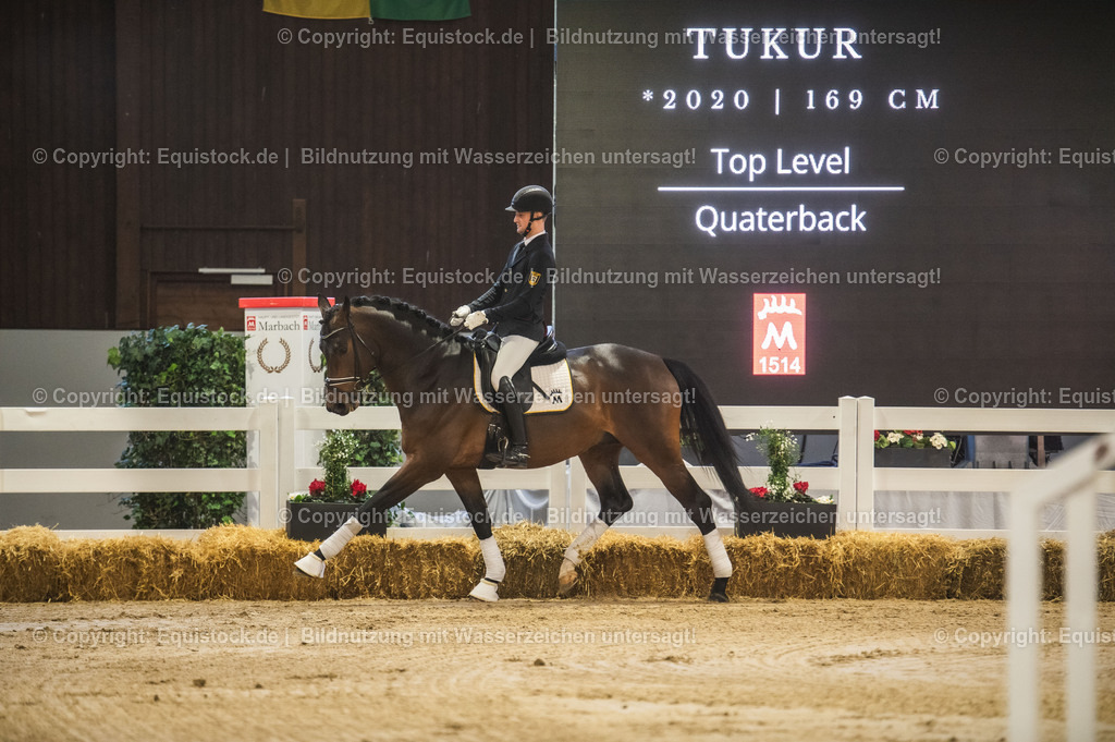 20240302_Hengstvorstellung_Marbach_TOMsPiC_0120-2 | equistock