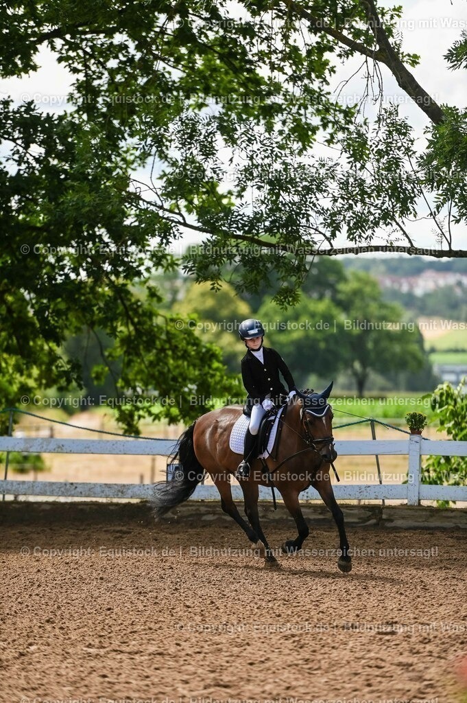 20230716_10-3_Reiter-WB Schritt - Trab - Galopp_0061 | equistock