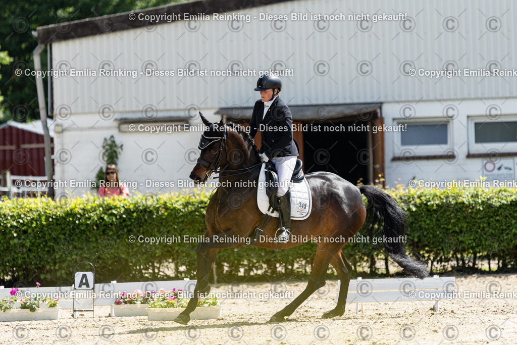 CL5A8017 | Emilia Reinking Fotografie - Realisiert mit Pictrs.com