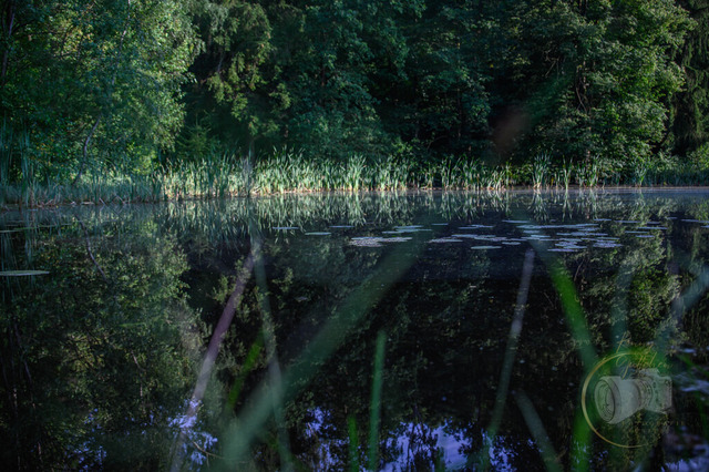 DSC_1621-10 | Shop für Prints Landschaftsfotografie Sächsische Schweiz Naturfotografie in Thüringen Fotos vom Findlingspark Nochten Kloster Sankt Marienstern Bilder Festung Königstein PanoramaRhododendronpark Kromlau FotogalerSchleswig-Holstein Küstenlandschaften