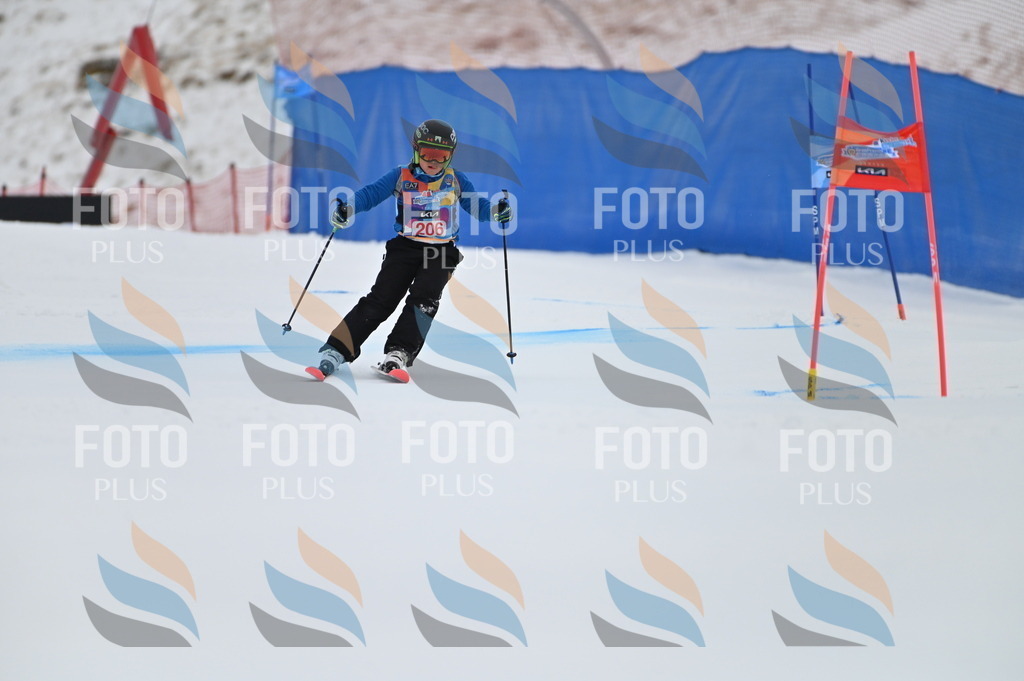 BGV_2145 | holidayphoto