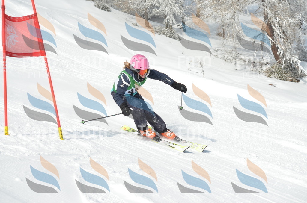 D8748 | holidayphoto