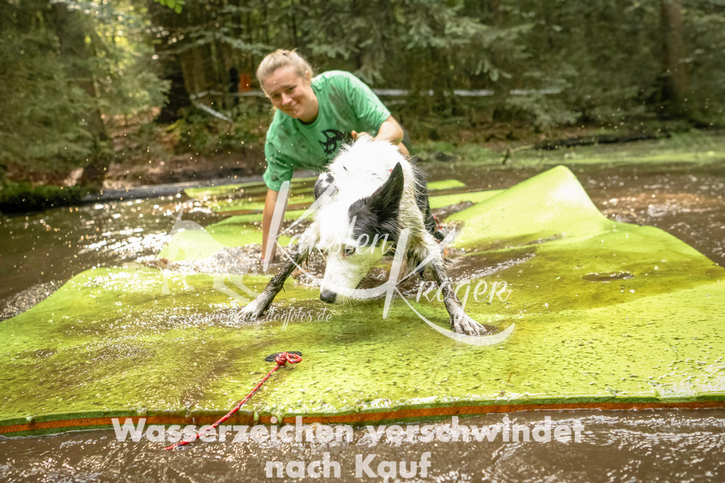 1412_ZZ91484-Bearbeitet | kk-dogfotos