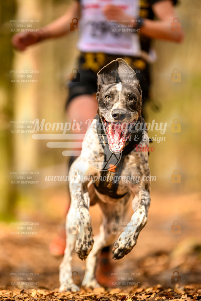 MompixPhotography_Habay2025_SA_CCC-96 | PayLife