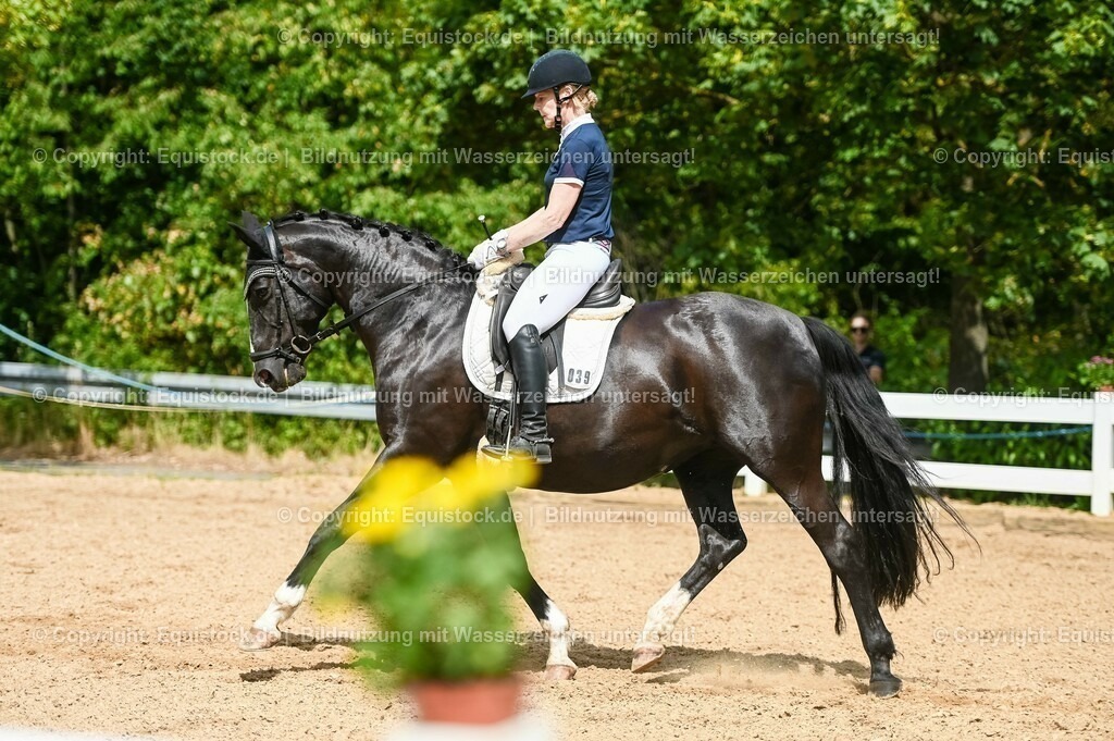 20230715_02_Dressurreiterprüfung Kl.L_0358 | equistock