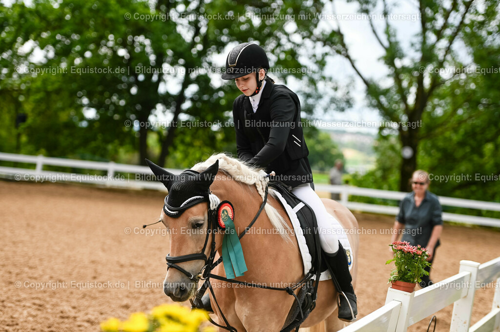 20230716_10-1_Reiter-WB Schritt - Trab - Galopp_0288 | equistock