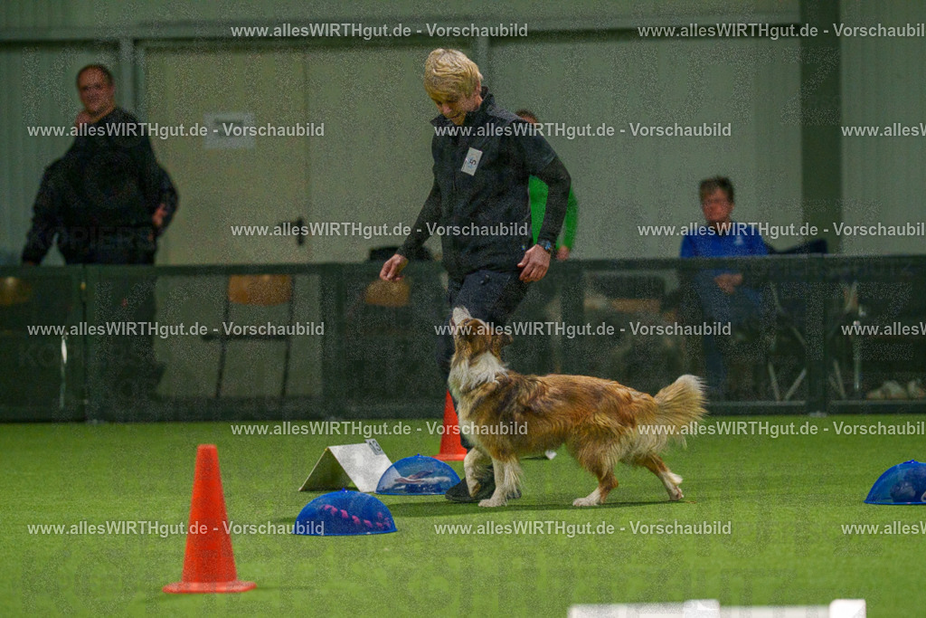 7R504375 | Professionelle Tierfotografie in Mönchengladbach von Daniel Wirth (allesWIRTHgut). Liebevolle & natürliche Bilder von Hunden & Katzen für unvergessliche Erinnerungen.