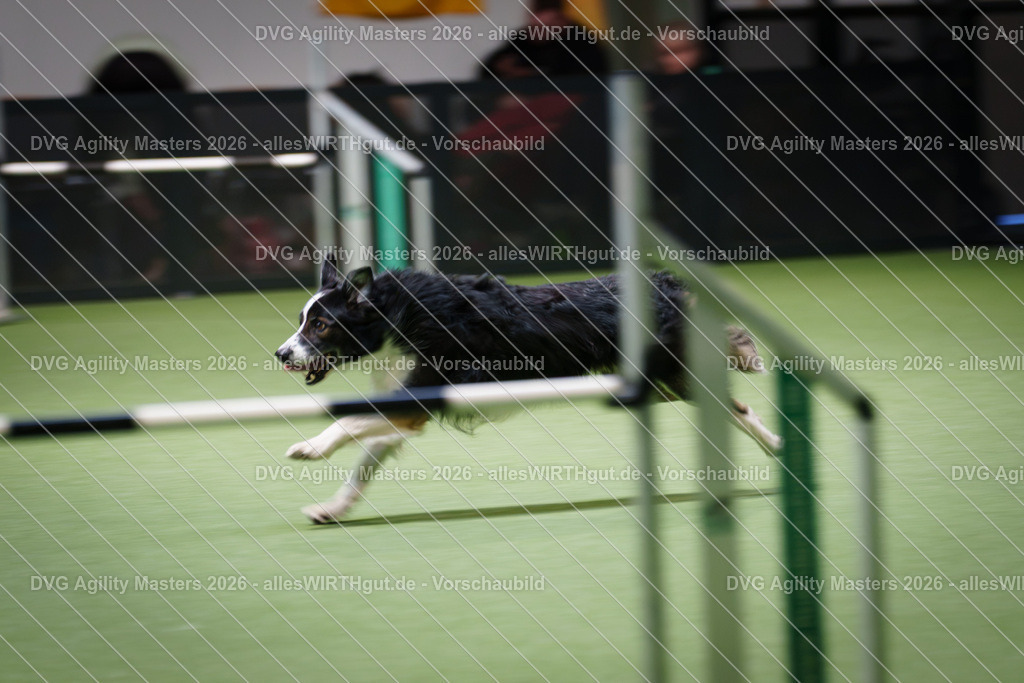 allesWIRTHgut_Tierfotografie-DVG_Agility_Masters_2026-16_50-7R508829 | Professionelle Tierfotografie in Mönchengladbach von Daniel Wirth (allesWIRTHgut). Liebevolle & natürliche Bilder von Hunden & Katzen für unvergessliche Erinnerungen.