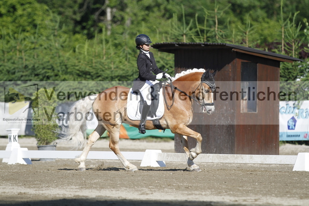 _MG_0478 | equestrian-live-com
