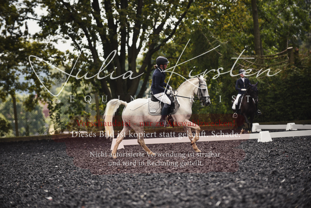DSC_3911 | Pferde- und Turnierfotografie in Westsachsen. Pferdeportraits, Auftragszeichnungen und intuitive Kunst.