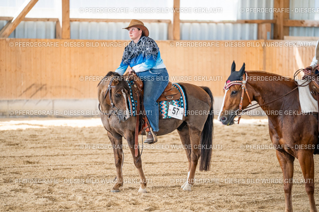 DSC03774 | Pferdegrafie