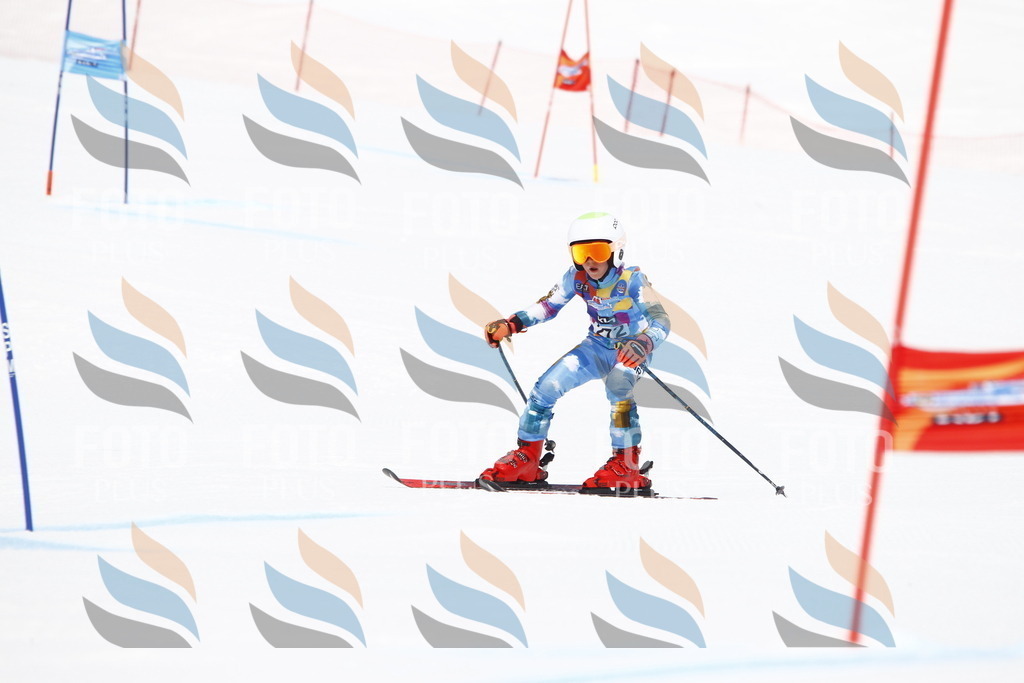 _U3G6804 | holidayphoto