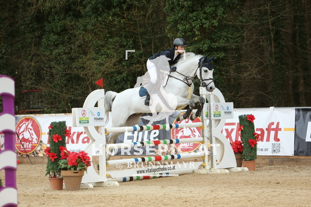 DL2Q3287 | Willkommen bei Brunnmayr - Design & Fotografie – Ihrem Spezialisten für Reitturniere und Pferdeveranstaltungen in Oberösterreich, Salzburg und Bayern! Seit über 17 Jahren sind wir leidenschaftlich dabei.