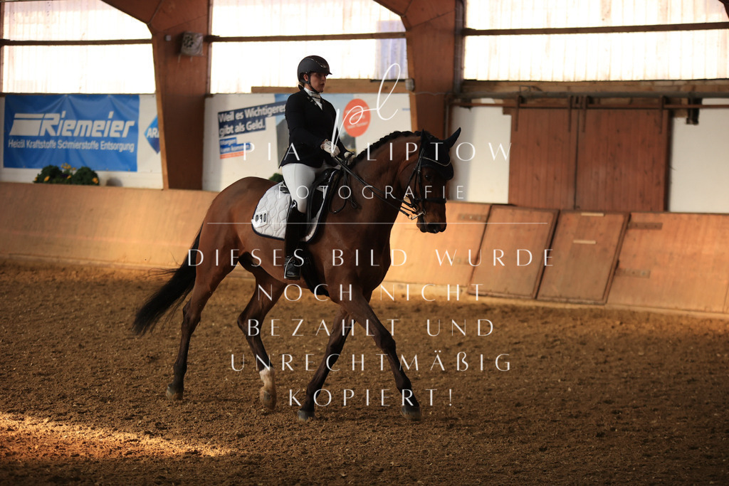 IMGT0978 | pl-fotografie