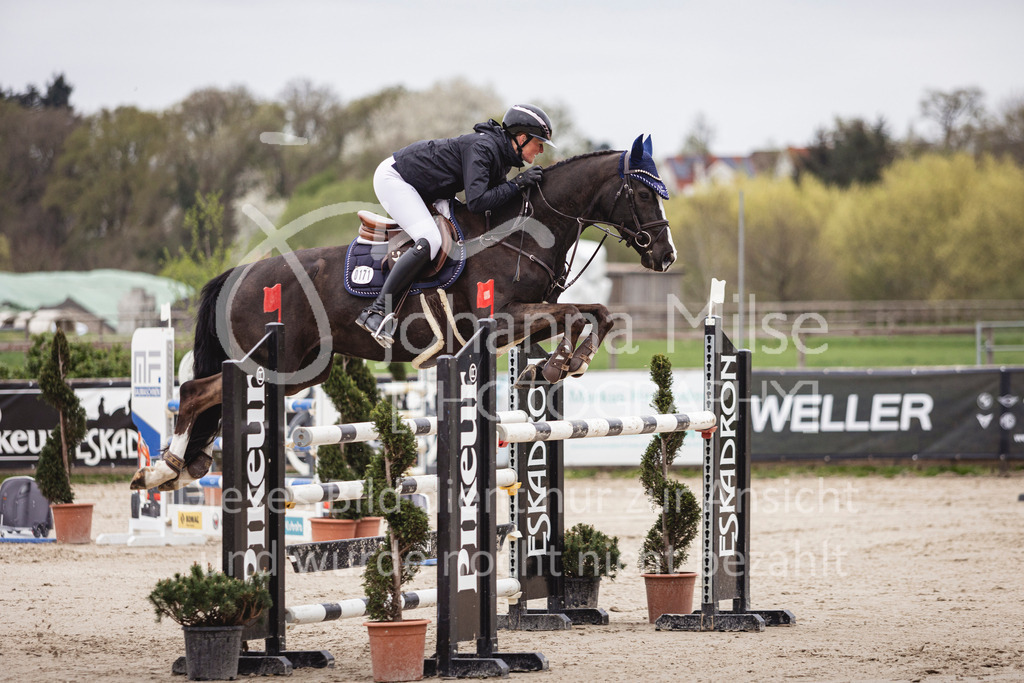 250417_Frühlingsfest_Springpferde-M-109 | Deine schönsten Turniermomente als professionelle Fotos! Entdecke hochwertige Pferdesport-Fotografie im Online-Shop. Jetzt Fotos finden & bestellen!