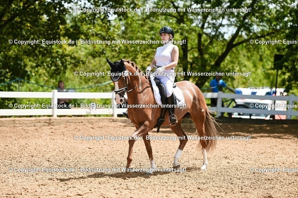 20230716_03_Dressurprfg. Kl.L - Tr._0485 | equistock