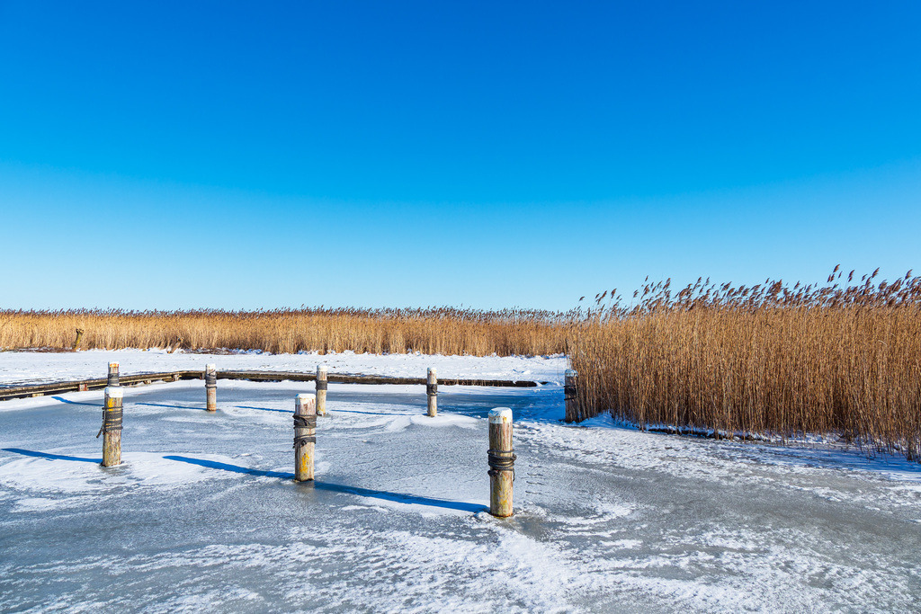 Bodden bei Ahrenshoop auf dem Fischland-Darß im Winter | Bodden bei Ahrenshoop auf dem Fischland-Darß im Winter.
