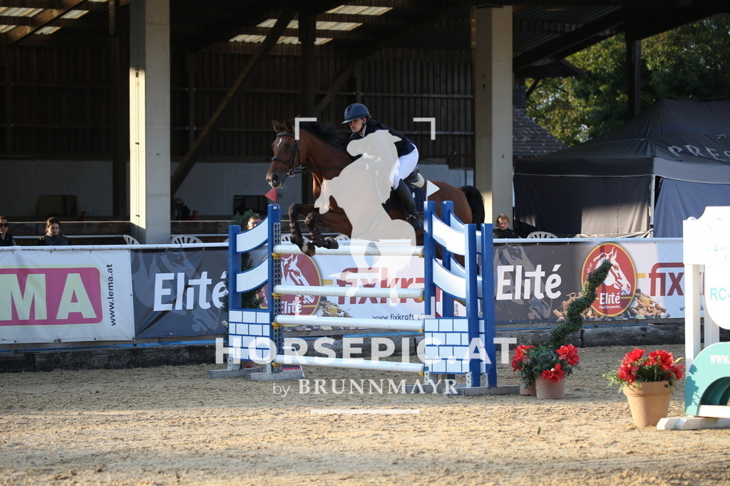 DL2Q6318 | Willkommen bei Brunnmayr - Design & Fotografie – Ihrem Spezialisten für Reitturniere und Pferdeveranstaltungen in Oberösterreich, Salzburg und Bayern! Seit über 17 Jahren sind wir leidenschaftlich dabei.