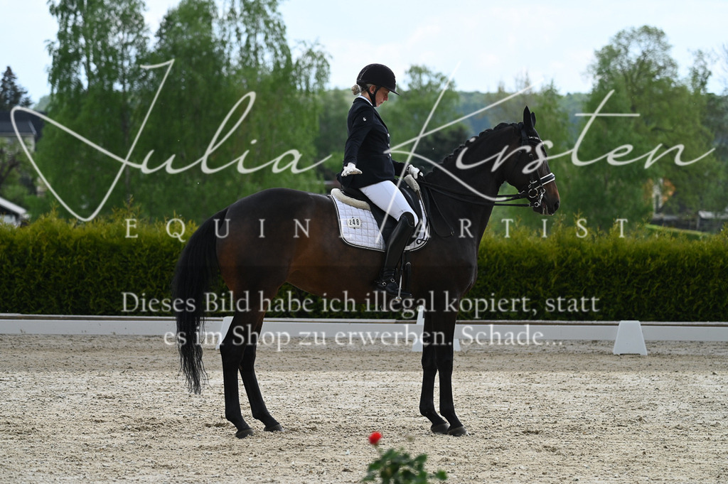 20230512_JK-Röhrsdorf-05-024 | Pferde- und Turnierfotografie in Westsachsen. Pferdeportraits, Auftragszeichnungen und intuitive Kunst.