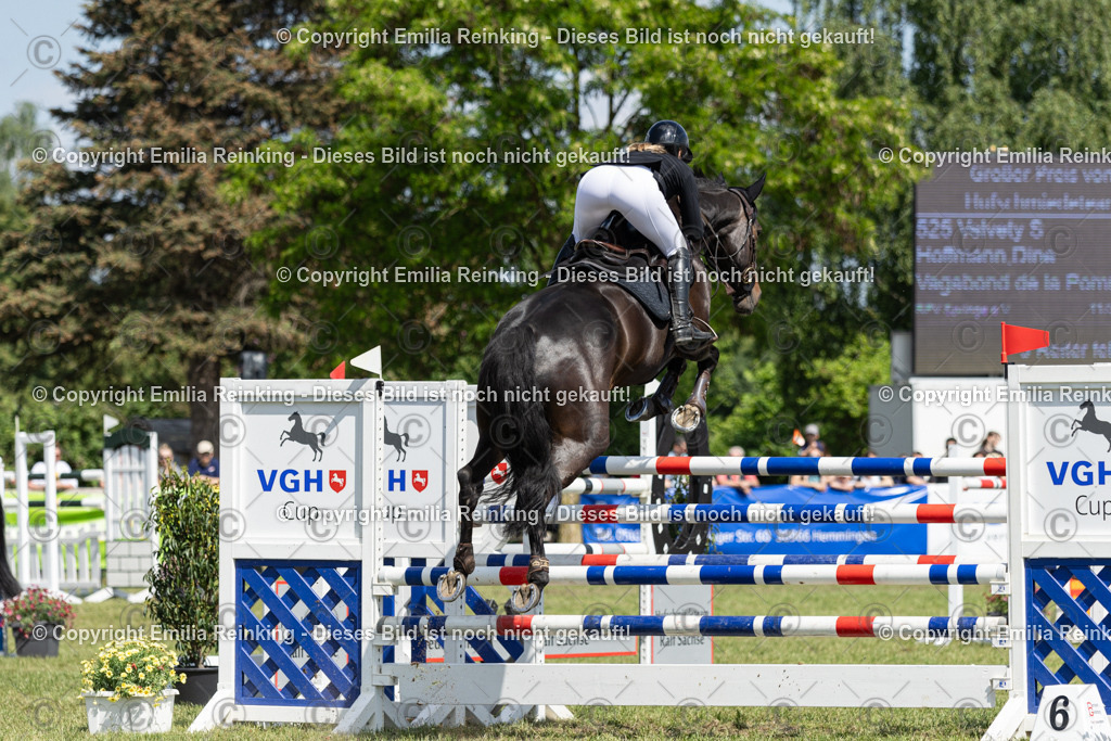 CL5A9973 | Emilia Reinking Fotografie - Realisiert mit Pictrs.com