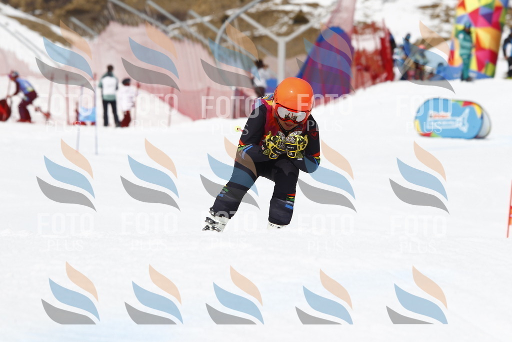 _U3G8196 | holidayphoto