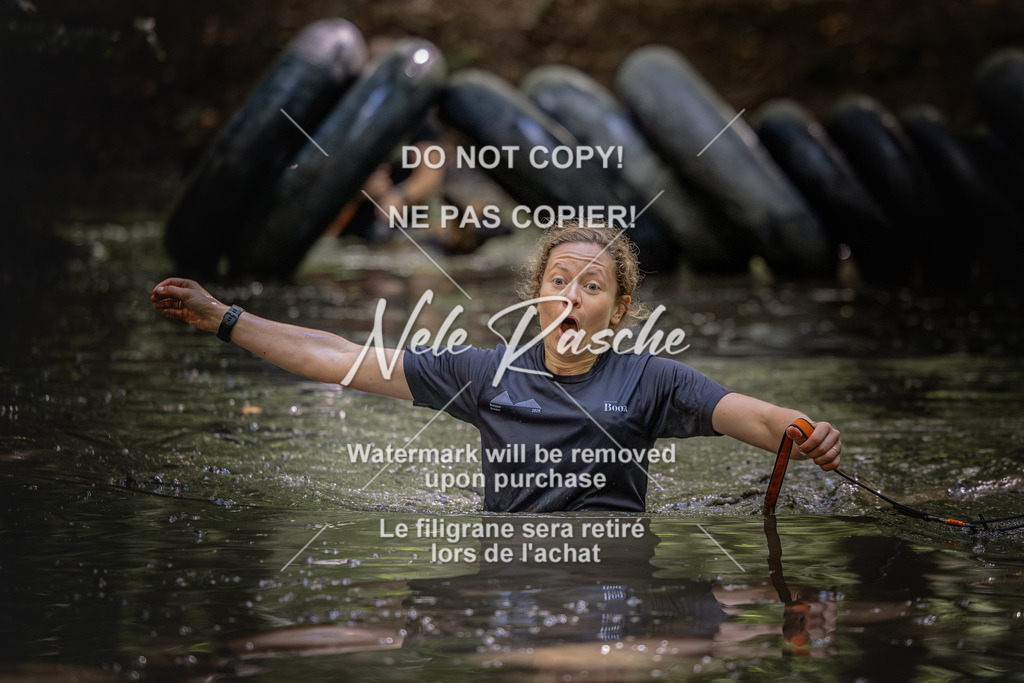 nelerasche_SaWingst1400-1500_503 | nelerasche