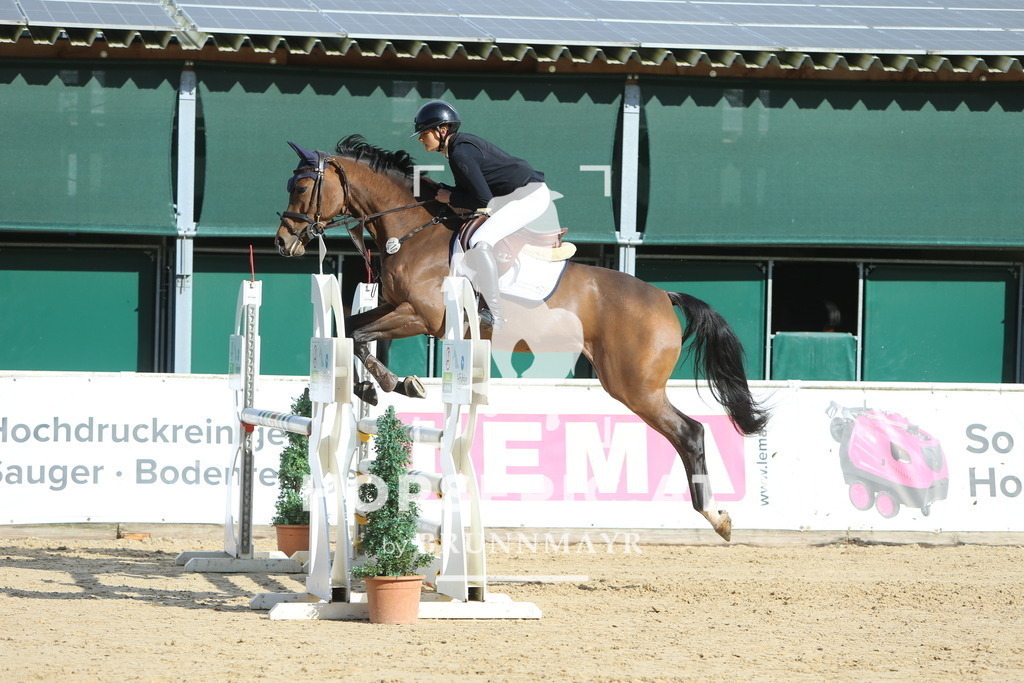 DL2Q4705 | Willkommen bei Brunnmayr - Design & Fotografie – Ihrem Spezialisten für Reitturniere und Pferdeveranstaltungen in Oberösterreich, Salzburg und Bayern! Seit über 17 Jahren sind wir leidenschaftlich dabei.