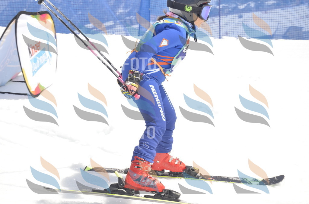 _ELE8543 | holidayphoto