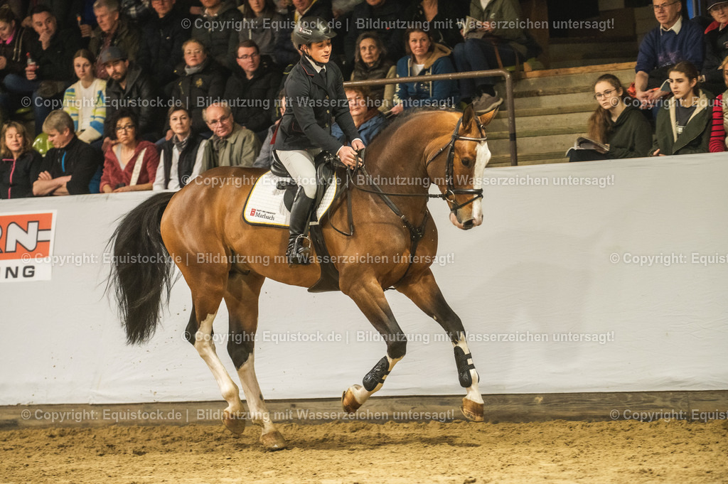 20240302_Hengstvorstellung_Marbach_TOMsPiC_0493-2 | equistock