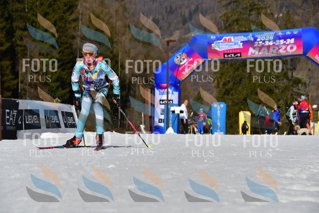 _DSC9164 | holidayphoto