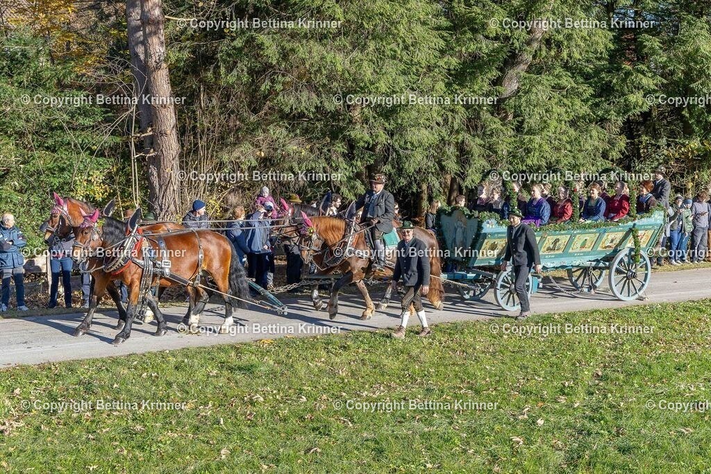 LBT25-131 | foto-bettina-krinner - Realisiert mit Pictrs.com