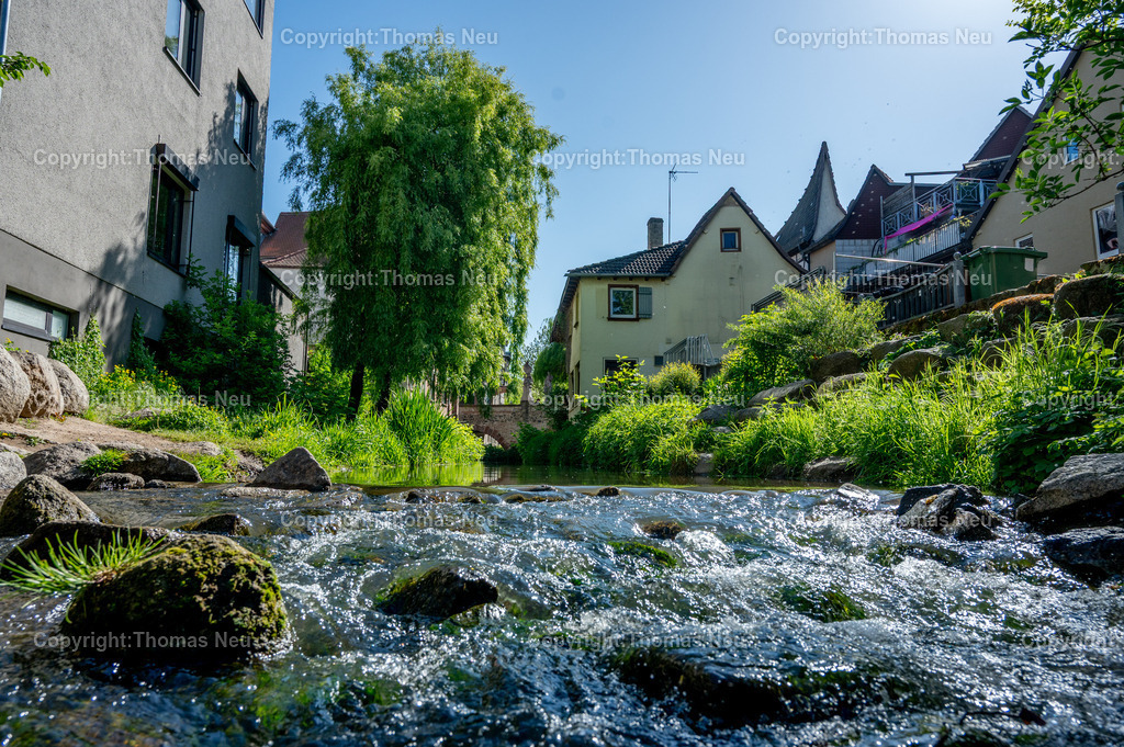 winkelbach-bensheim-mittelbruecke-bergstrasse-thomas-neu | Der Winkelbach in der Bensheimer Altstadt an einem sonnigen Frühlingstag. Der Blick führt entlang des klaren Bachlaufs in Richtung Mittelbrücke. Die naturnahe Ufergestaltung, alte Häuser und üppiges Grün verleihen der Szene einen fast idyllischen Charakter mitten in der Innenstadt von Bensheim an der Hessischen Bergstraße.