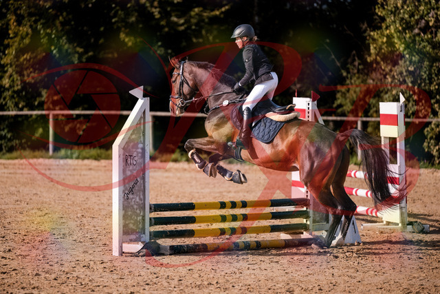 2026_10_03_Siefer-Hof_155916_Z81_79121978 | Professionelle Reitsport-, Turnier- und Eventfotografie von Robert Broda. Galerien mit ausgewählten und bearbeiteten Bildern direkt online ansehen und bestellen.