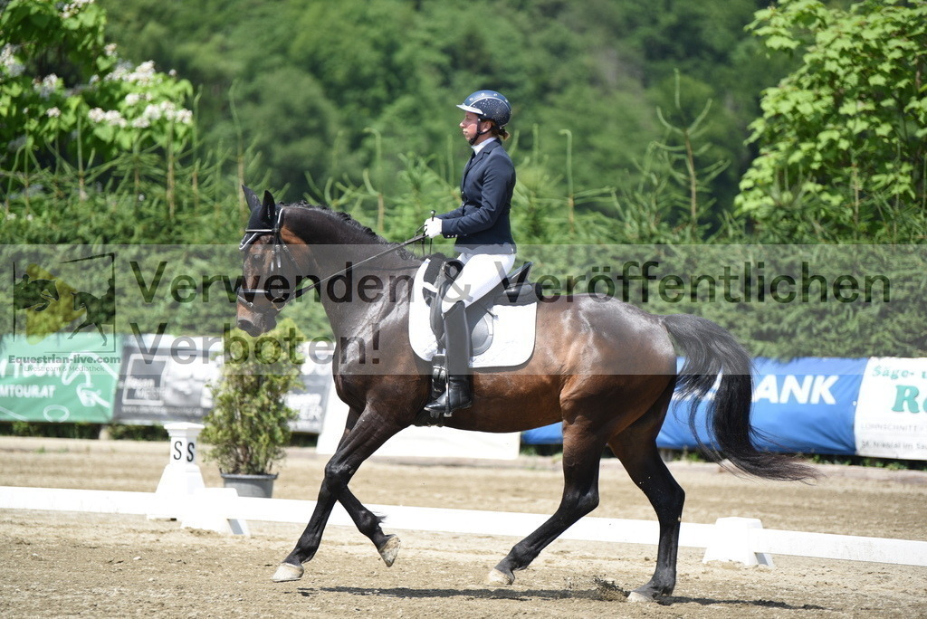 DSC_8962 | equestrian-live-com