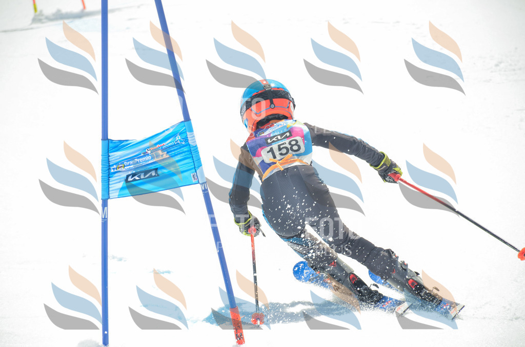 _ELE6408 | holidayphoto