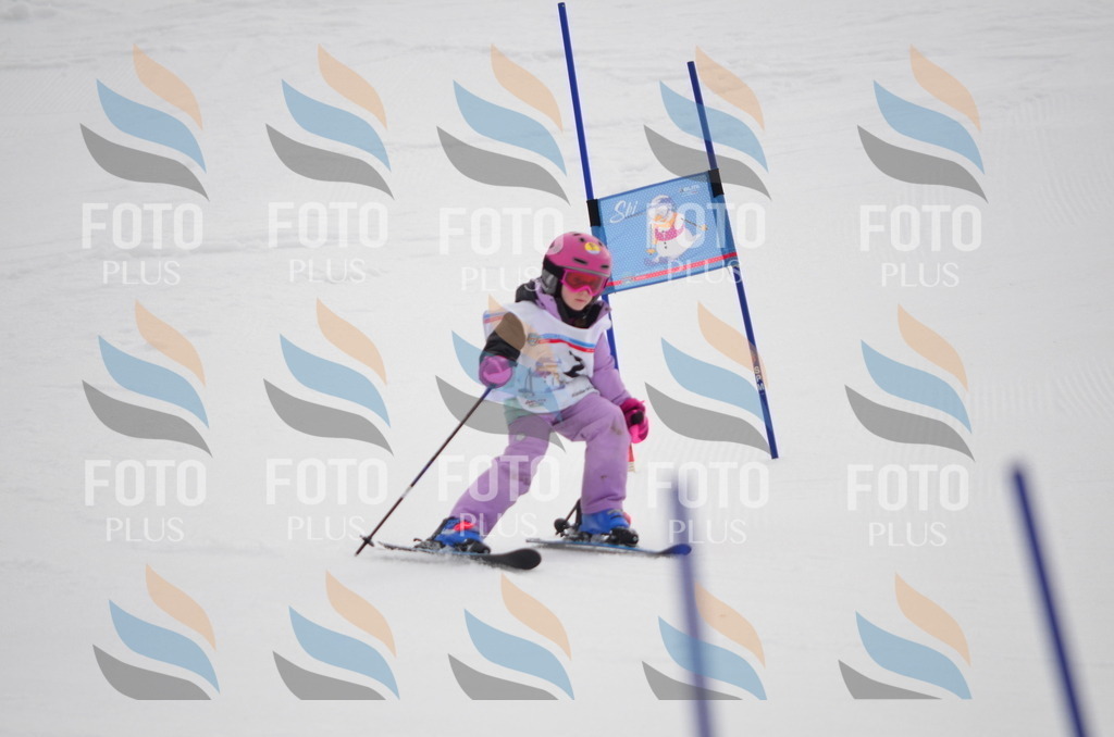 C0061 | holidayphoto