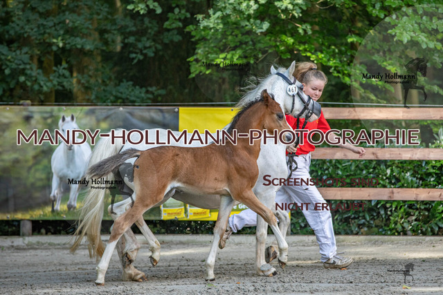 IMG_4146 | mandyhollmannphotographie