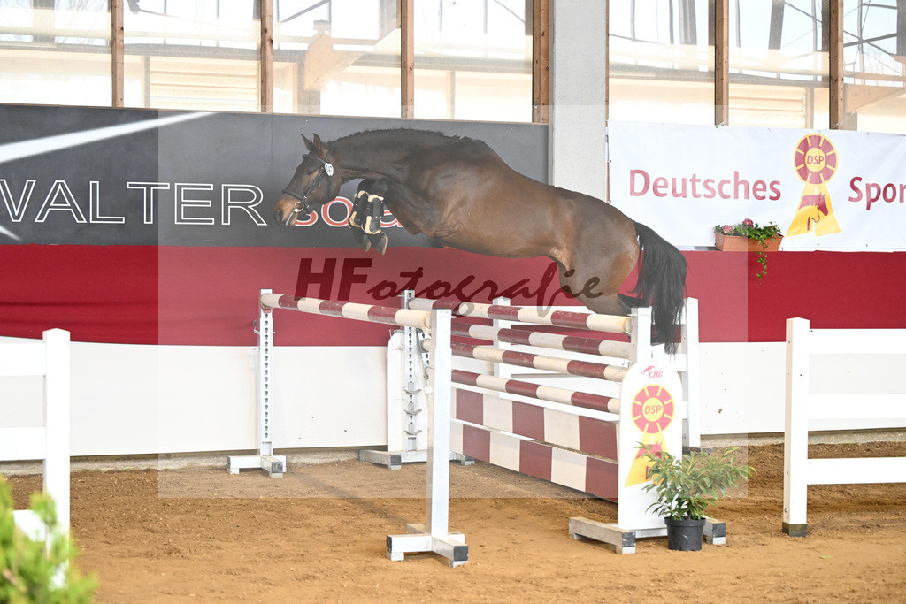 Kat-Nr. 47 Uno v. Uno I_Fuchs_7251042 | hf-fotografie - Realizzato con Pictrs.com