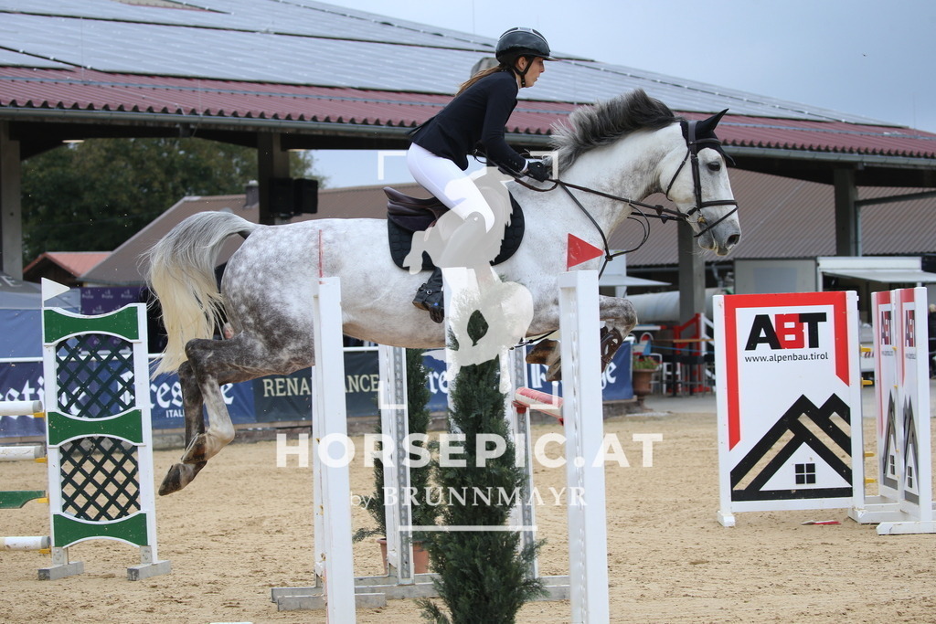 DL2Q1457 | Willkommen bei Brunnmayr - Design & Fotografie – Ihrem Spezialisten für Reitturniere und Pferdeveranstaltungen in Oberösterreich, Salzburg und Bayern! Seit über 17 Jahren sind wir leidenschaftlich dabei.