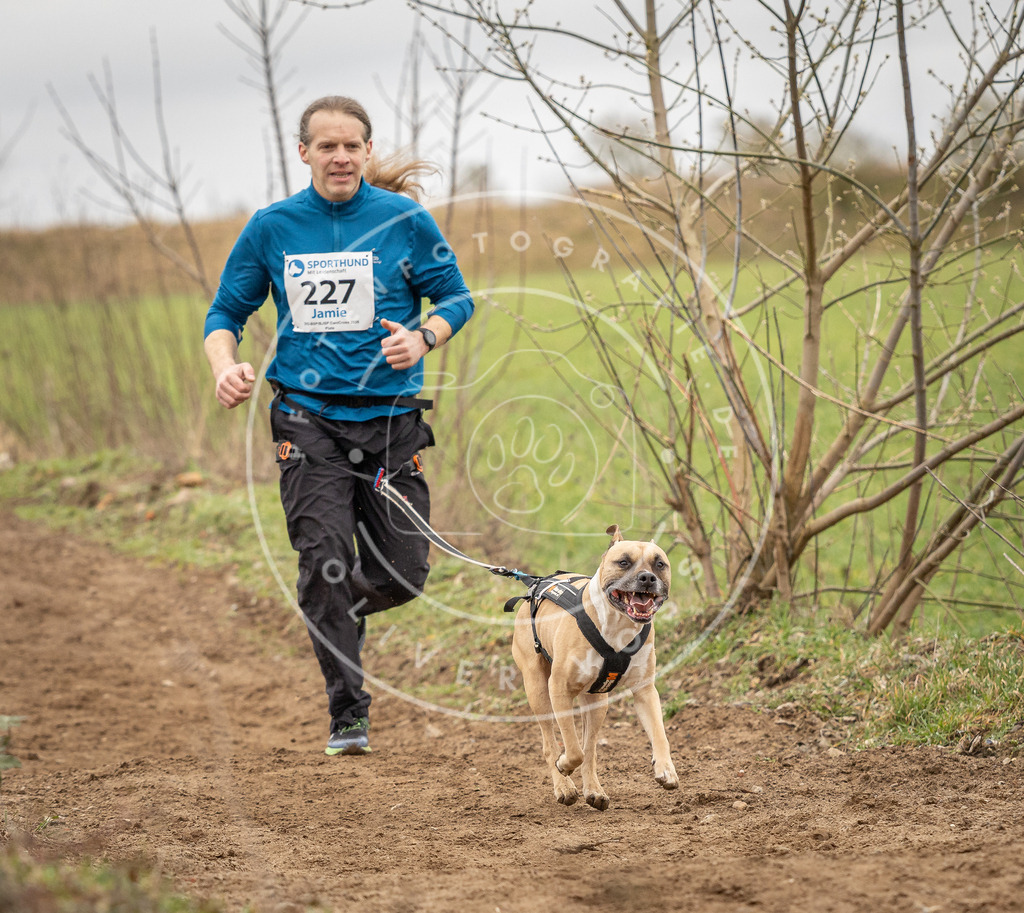 DV3A2692 | Hundefotografie, Tierfotograf, Pfotenfotografie, Fotoshooting Hund, Hunde Portrait, Hundesport, Hundeportraits, Heideshooting, Hunde, Sportfotograf, Hundefotograf, Turnierhundsport, THS,  - Realisiert mit Pictrs.com