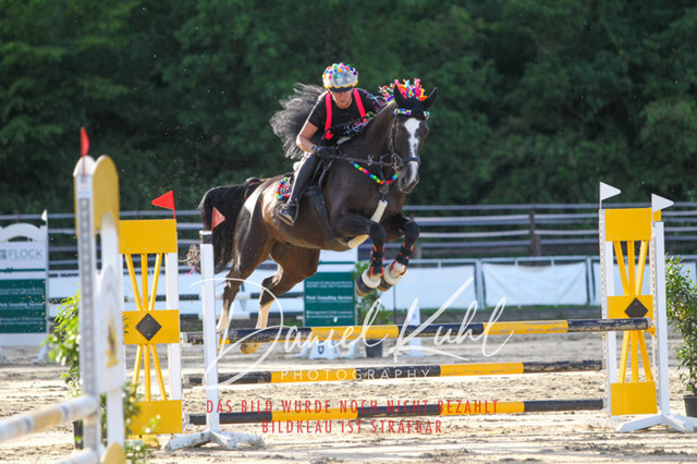 DKP45162 | Turnierfotos kaufen im Webshop von Daniel Kuhl Photography – entdecke professionelle Reitsportfotos aus Turnieren & Events. Hochwertige Turnierbilder online bestellen & sichern. Jetzt Fotos von Reitsportturnieren kaufen!