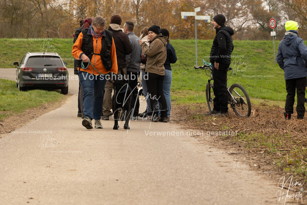 _16A0859 | Einzigartige Fotos von Hunden & Menschen –Actionfotos, Portraits, Vereinsaufnahmen & Paarshootings – authentisch, lebendig & mit Herz.
