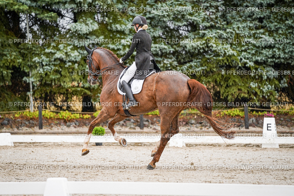 DSC09342 | Pferdegrafie