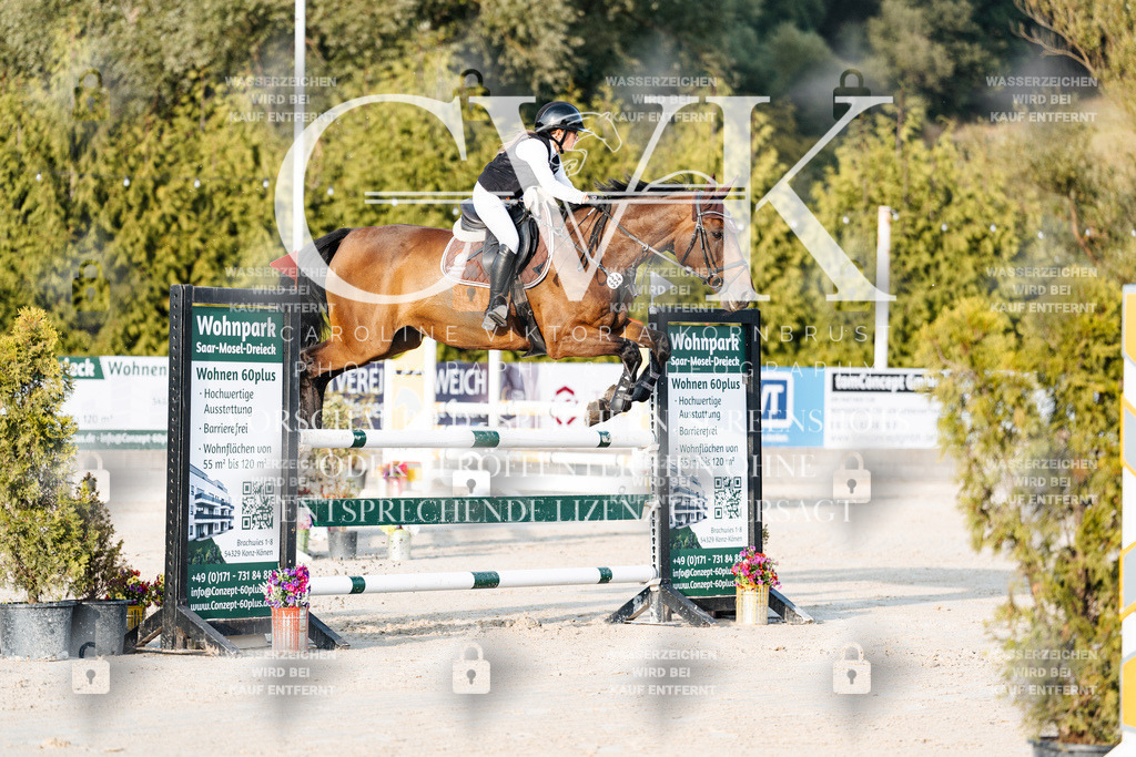 CK900716 | Turnierfotografie Pferdefotografie Trier Rheinland-Pfalz Pferdesport Reitsport Tierfotografie Sportfotografie Pferdevideo Pferdevideografie Equestrianvideography equestrianphotography  - Realisiert mit Pictrs.com